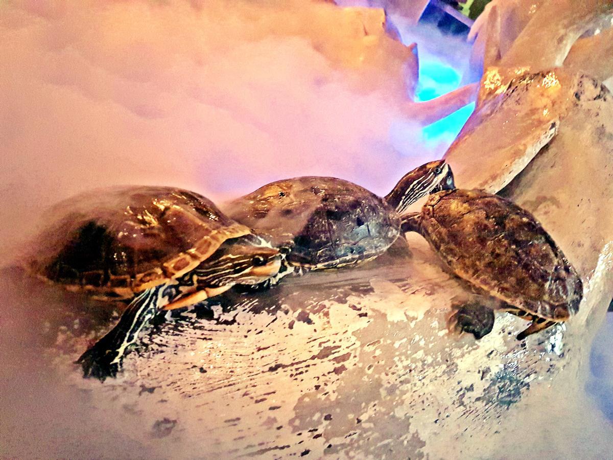 Aquarium Riyadh